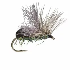 Far Bank Enterprises Rio's King Splitsville Beetle