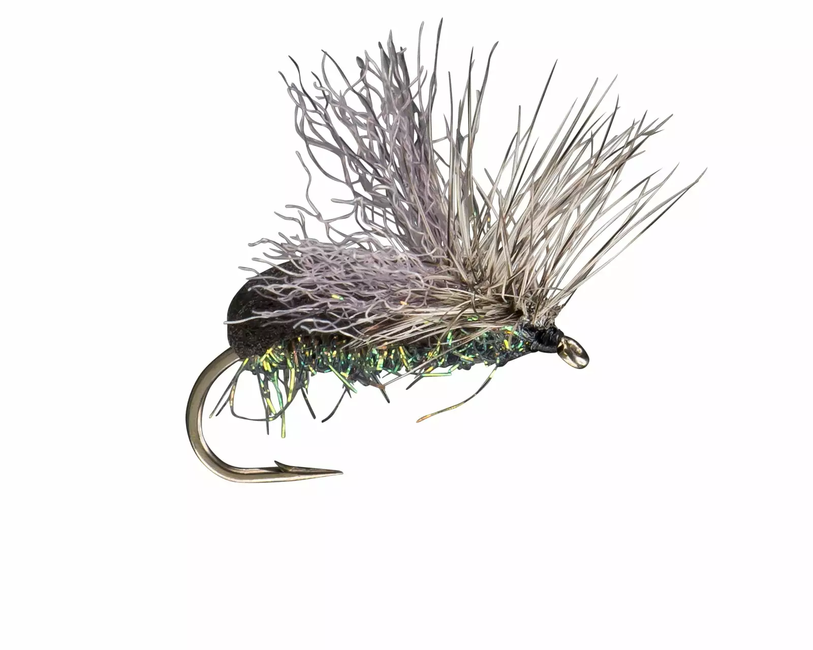 Far Bank Enterprises Rio's King Splitsville Beetle 3 Far Bank Enterprises Rio's King Splitsville Beetle