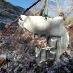 Cody's Fish Christmas Tree Ornament // Washington State License Plate Fish Cutouts -FLIES Sales 20191213 095231 resized