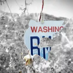 Cody's Fish Christmas Tree Ornament // Washington State License Plate Fish Cutouts