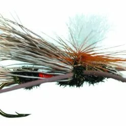 Royal Parachute X By Solitude // Terrestrial & Attractor