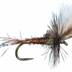 Last Chance Cripple BWO By Solitude