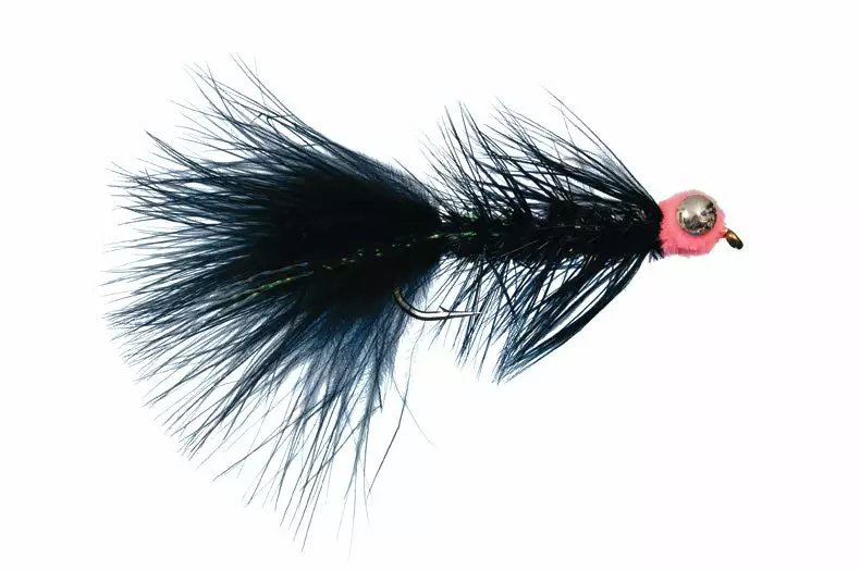 Barbell Egg Sucking Leech By Solitude 3 Barbell Egg Sucking Leech By Solitude