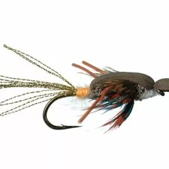 Ska-Opper By Solitude