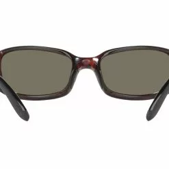 Costa Brine Sunglasses -FLIES Sales brineback