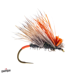 The Gunch // Dry Fly By Umpqua