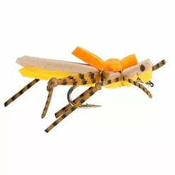 Far Bank Enterprises RIO's Morrish Hopper -FLIES Sales morrishgolden