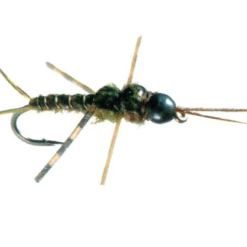 Skwala Stonefly Nymph // Tungsten Bead By Umpqua